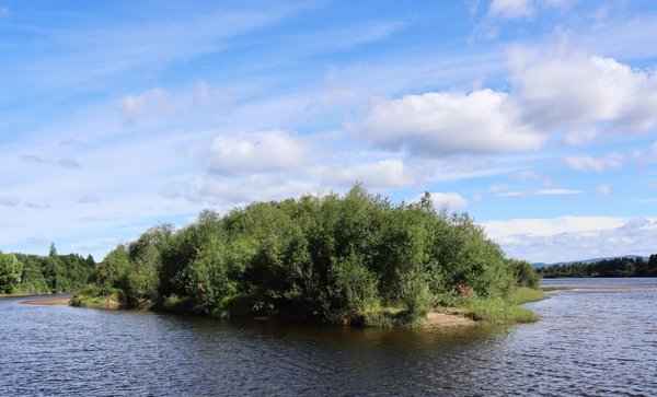 Quelles sont les destinations pour des vacances axées sur la préservation des forêts anciennes ?