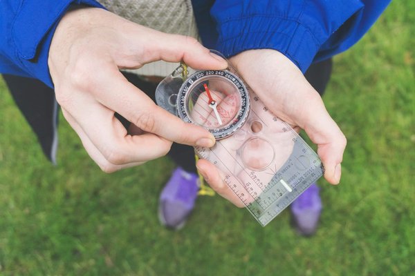 Voyager en toute sécurité en Afrique australe : safari et rencontres avec la faune sauvage
