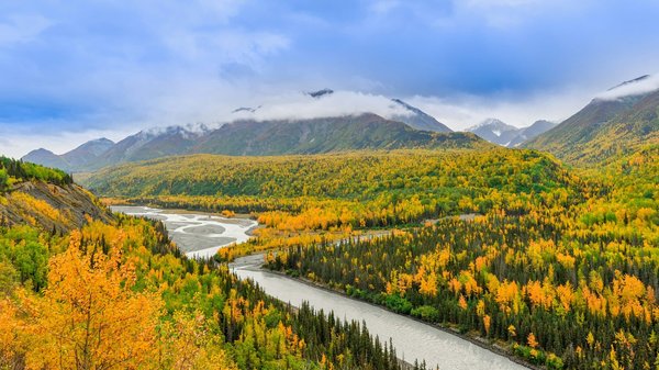 Croisières autour des îles Aléoutiennes : Nature sauvage de l'Alaska