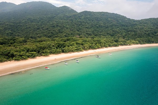 L'île aux Bénitiers : Quelles sont les activités à faire ?